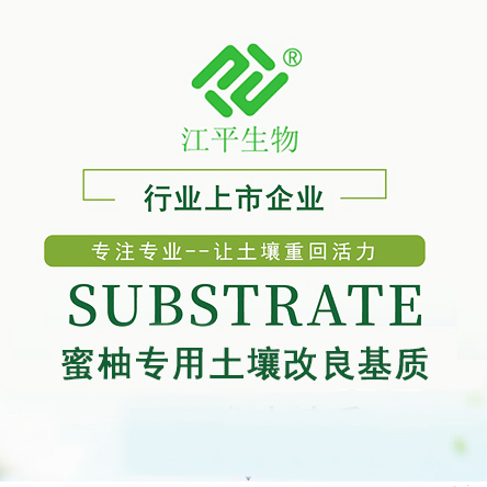 尊龙凯时-官网首页--人生就是博!
